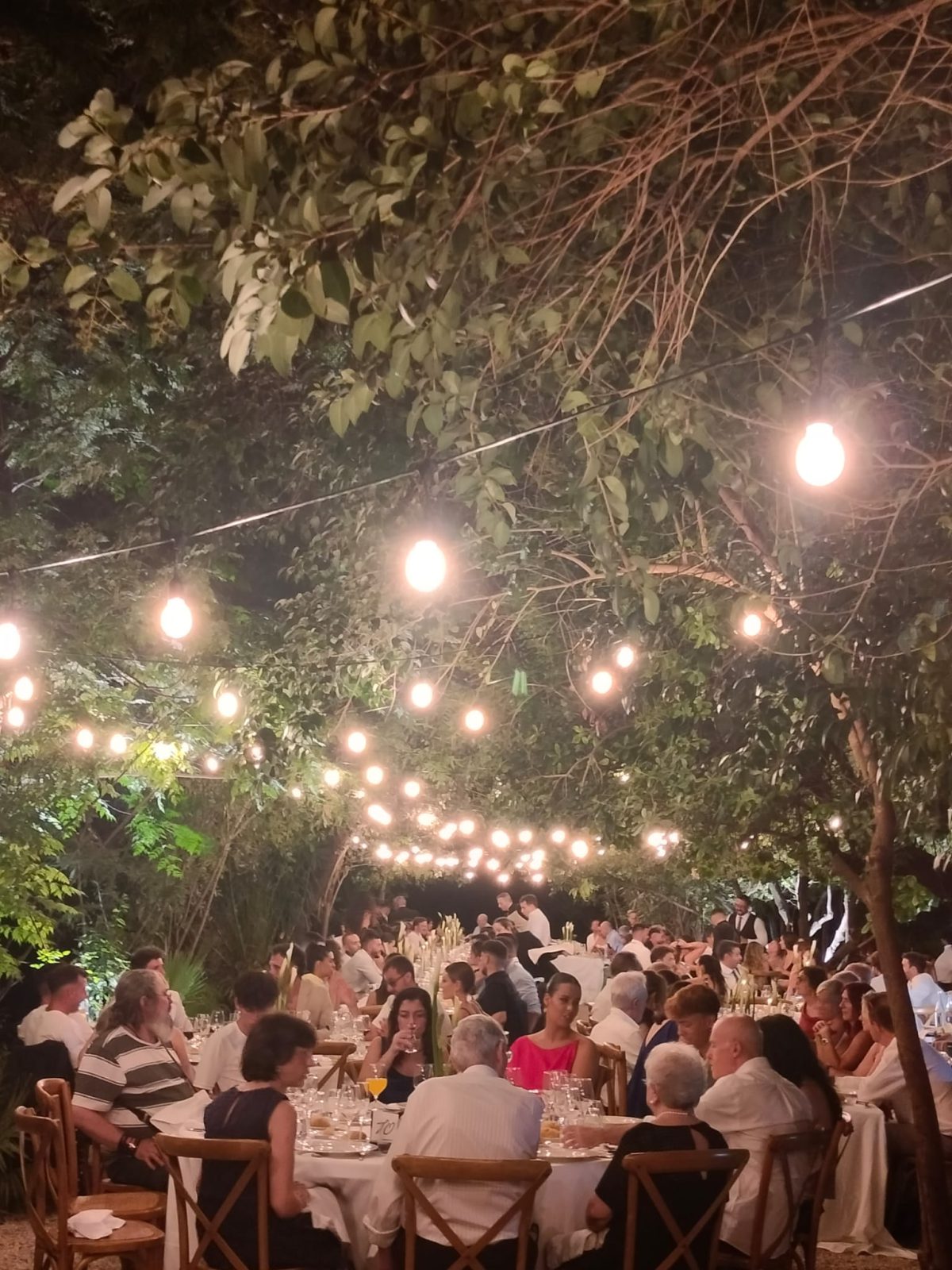 Guirnaldas Led E27 (bombilla)