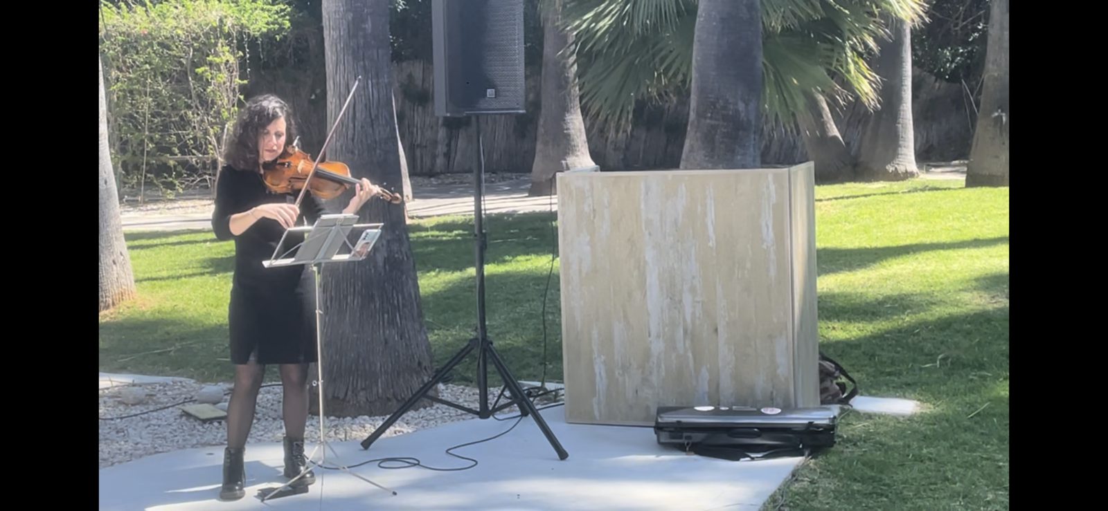 Violinista solista