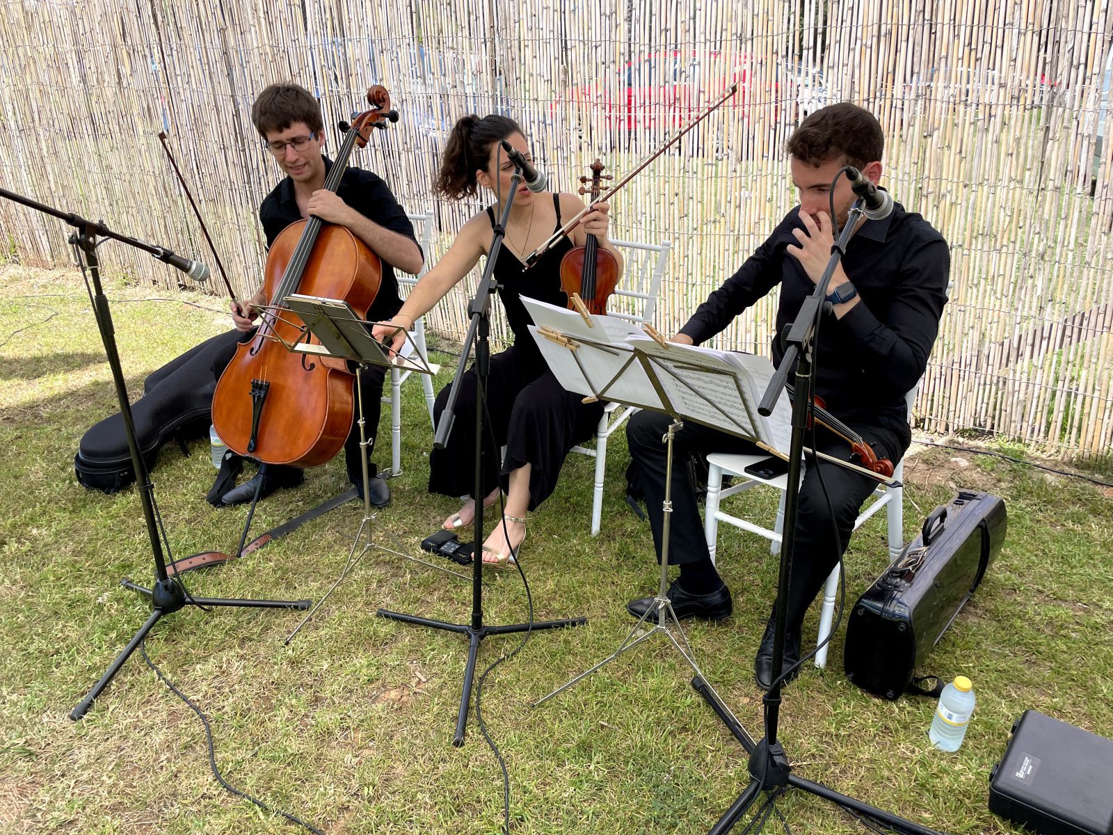 Trio de cuerdas