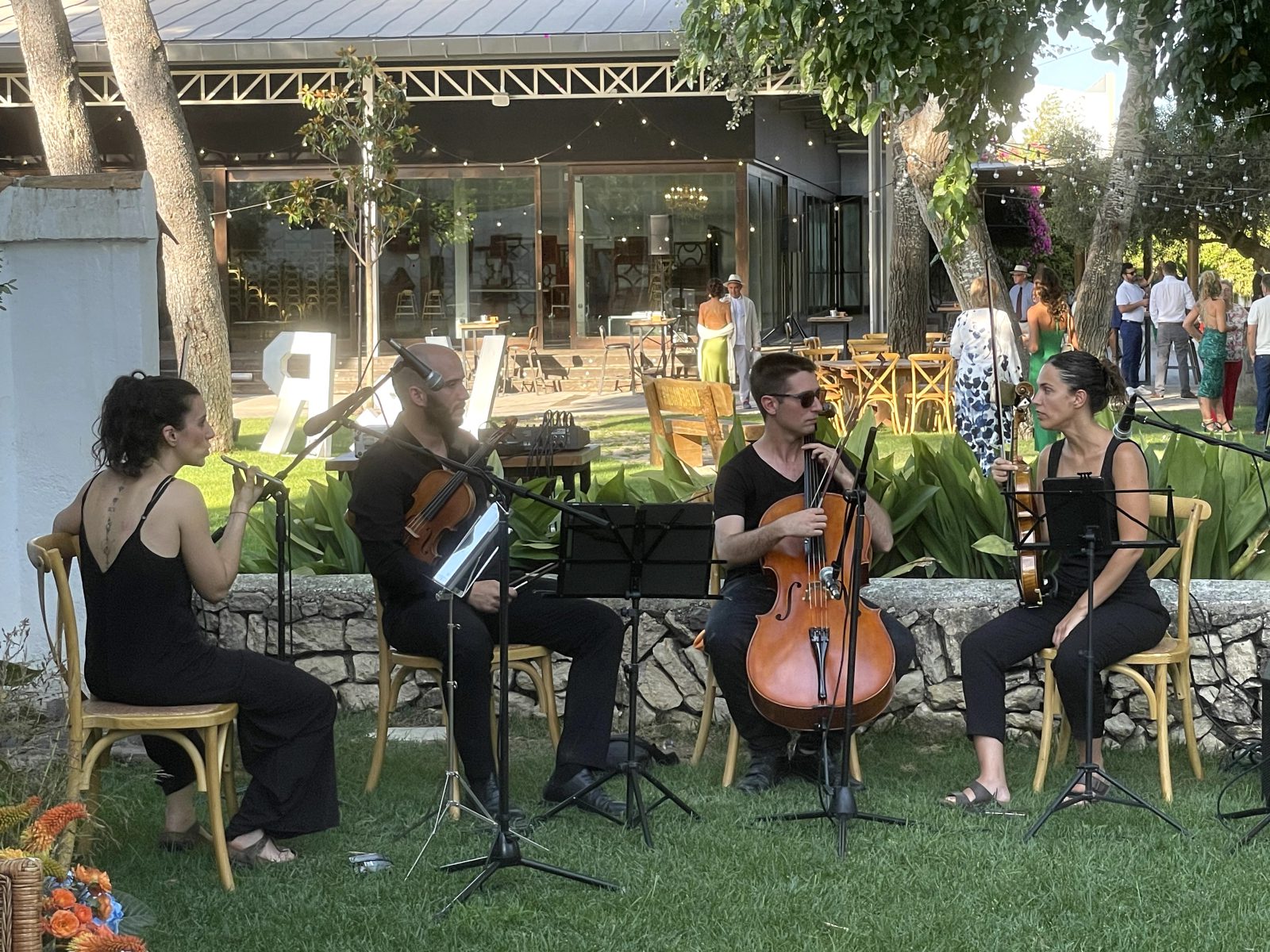 Cuarteto de cuerdas